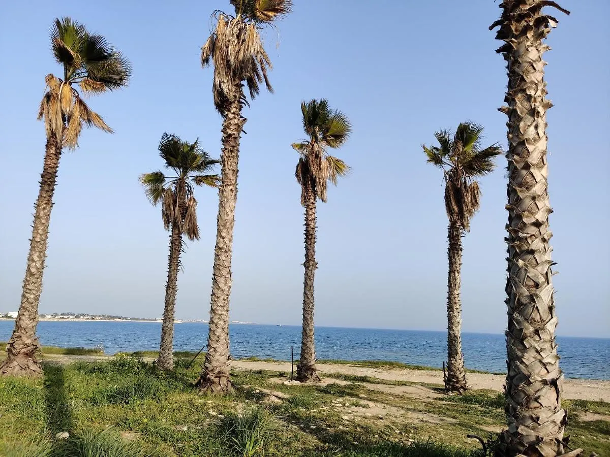 Palm Garden Paradise Perivolia Cyprus